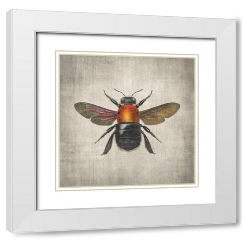 Brilliant Bee 2 White Modern Wood Framed Art Print with Double Matting by Brown, Denise