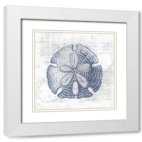 Sand Dollar 1 v2 White Modern Wood Framed Art Print with Double Matting by Brown, Denise