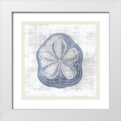 Sand Dollar 2 v2 White Modern Wood Framed Art Print with Double Matting by Brown, Denise
