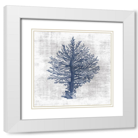 Sea Life 2 White Modern Wood Framed Art Print with Double Matting by Brown, Denise