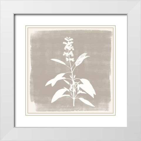 Sophisticated Floral 3 White Modern Wood Framed Art Print with Double Matting by Brown, Denise