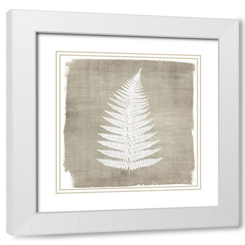 Natures Fern 1 White Modern Wood Framed Art Print with Double Matting by Brown, Denise