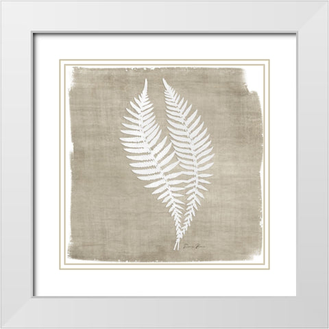 Natures Fern 2 White Modern Wood Framed Art Print with Double Matting by Brown, Denise