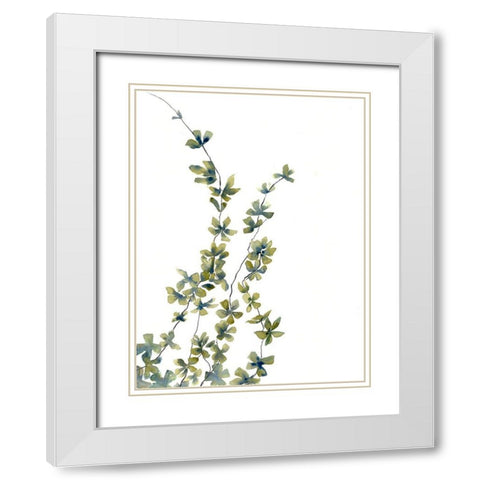 Growing Plants White Modern Wood Framed Art Print with Double Matting by Charest, Doris
