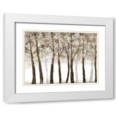 Wooded Grove White Modern Wood Framed Art Print with Double Matting by Charest, Doris