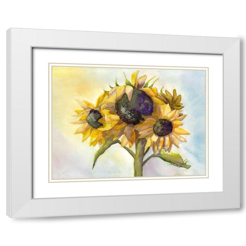 Sunflower Bloom 1 White Modern Wood Framed Art Print with Double Matting by Charest, Doris