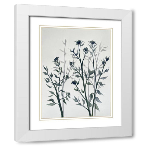 Botanical Inspiration 2 White Modern Wood Framed Art Print with Double Matting by Charest, Doris