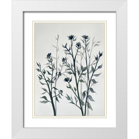 Botanical Inspiration 2 White Modern Wood Framed Art Print with Double Matting by Charest, Doris