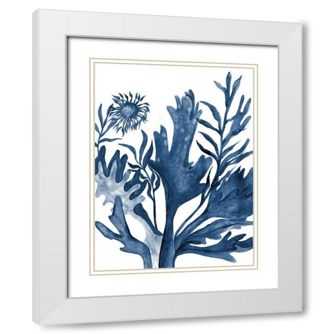 Underwater Life 1 White Modern Wood Framed Art Print with Double Matting by Charest, Doris