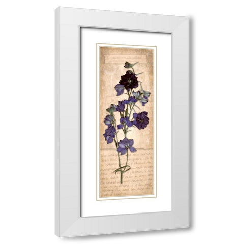 July Larkspur White Modern Wood Framed Art Print with Double Matting by Stimson, Diane