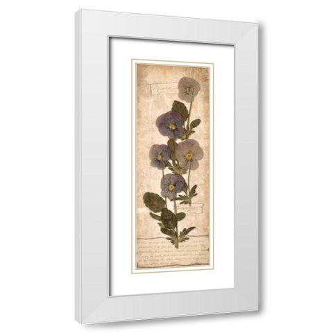 February Violet White Modern Wood Framed Art Print with Double Matting by Stimson, Diane