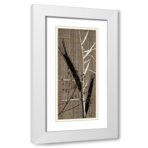 Grasses 2 Brown White Modern Wood Framed Art Print with Double Matting by Stimson, Diane