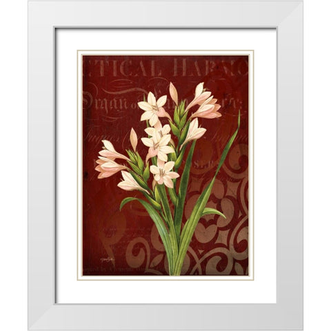 Narcissus 2 White Modern Wood Framed Art Print with Double Matting by Stimson, Diane