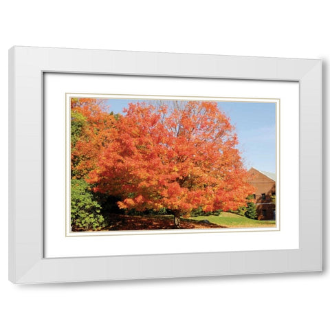 Autumnal 1 White Modern Wood Framed Art Print with Double Matting by Stimson, Diane
