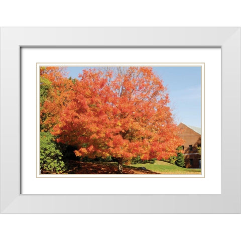 Autumnal 1 White Modern Wood Framed Art Print with Double Matting by Stimson, Diane