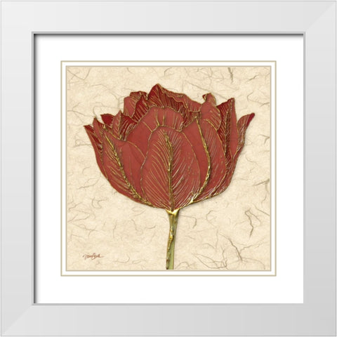 Red Tulip White Modern Wood Framed Art Print with Double Matting by Stimson, Diane