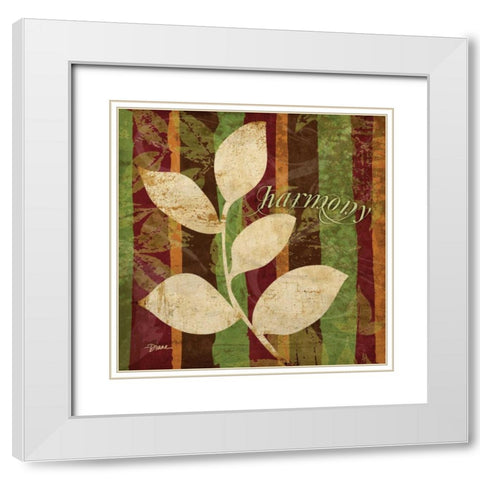 Spice Harmony White Modern Wood Framed Art Print with Double Matting by Stimson, Diane