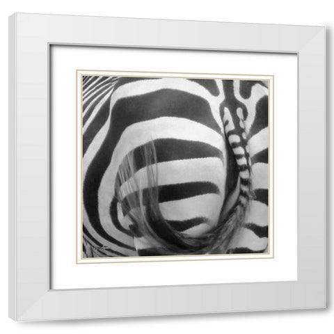 IntoThe Wild 3 White Modern Wood Framed Art Print with Double Matting by Stimson, Diane