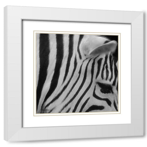 IntoThe Wild 4 White Modern Wood Framed Art Print with Double Matting by Stimson, Diane