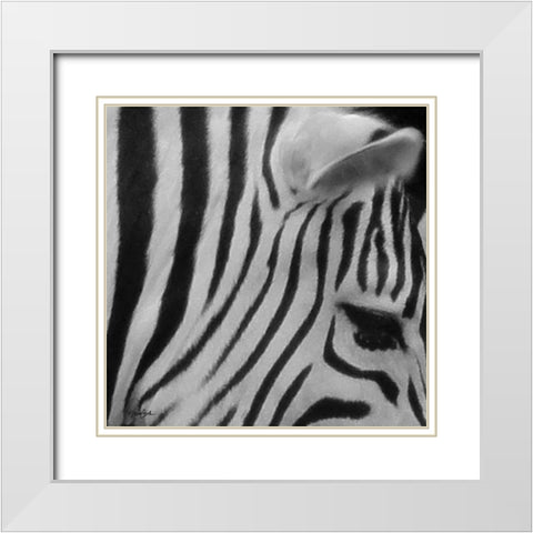 IntoThe Wild 4 White Modern Wood Framed Art Print with Double Matting by Stimson, Diane