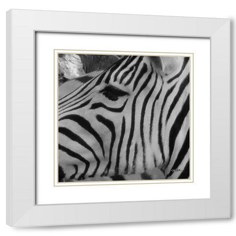 IntoThe Wild 1 White Modern Wood Framed Art Print with Double Matting by Stimson, Diane