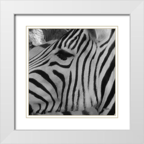 IntoThe Wild 1 White Modern Wood Framed Art Print with Double Matting by Stimson, Diane