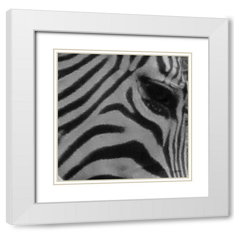 IntoThe Wild 5 White Modern Wood Framed Art Print with Double Matting by Stimson, Diane