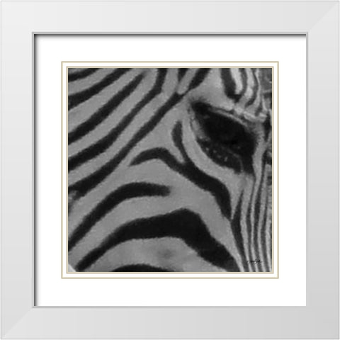 IntoThe Wild 5 White Modern Wood Framed Art Print with Double Matting by Stimson, Diane
