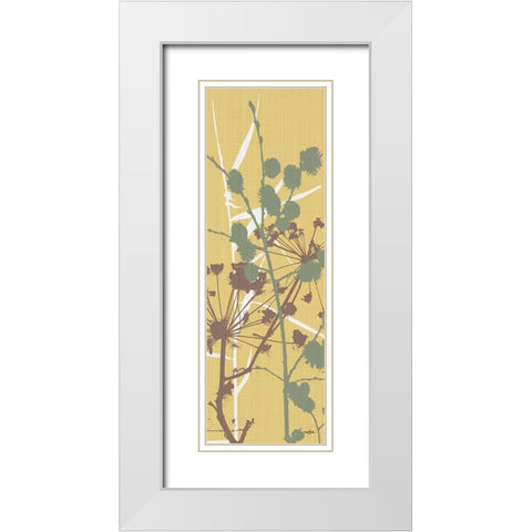 Grasses 4 White Modern Wood Framed Art Print with Double Matting by Stimson, Diane
