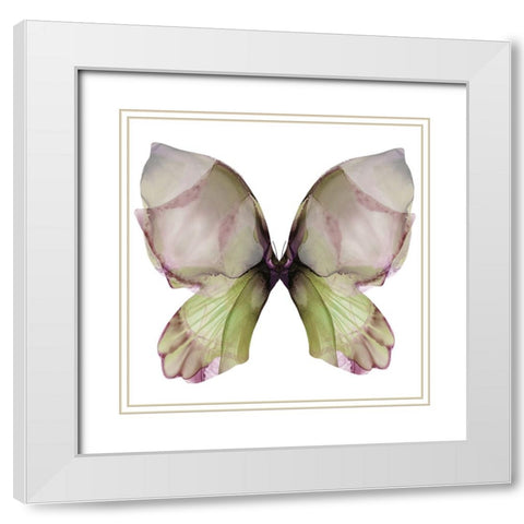 Floral Butterfly 1 White Modern Wood Framed Art Print with Double Matting by Debs, Emma Catherine