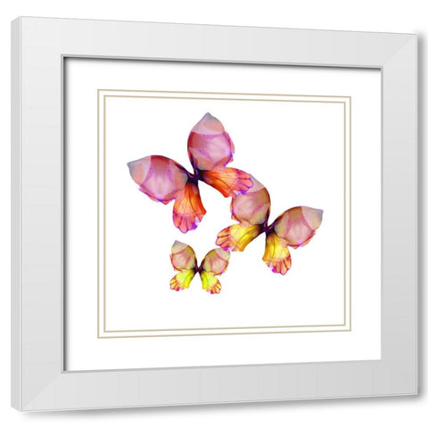 Floral Butterfly Trio White Modern Wood Framed Art Print with Double Matting by Debs, Emma Catherine