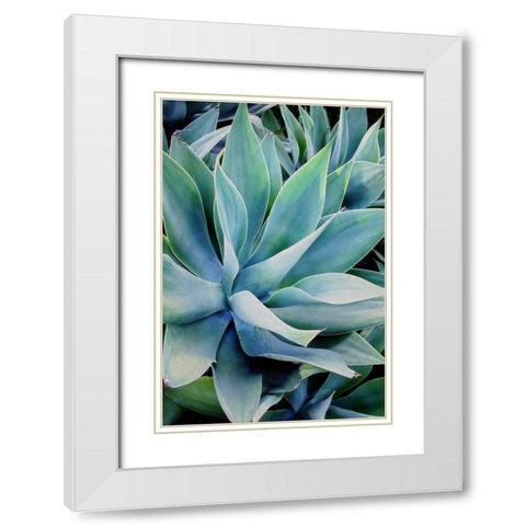 Deep Dive II White Modern Wood Framed Art Print with Double Matting by Urquhart, Elizabeth