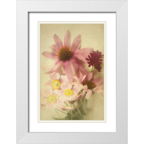 Late Summer Blooms 2 White Modern Wood Framed Art Print with Double Matting by Urquhart, Elizabeth