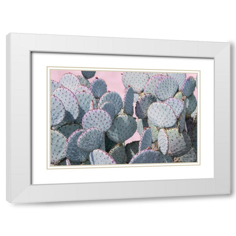 Pink Crush VIII White Modern Wood Framed Art Print with Double Matting by Urquhart, Elizabeth