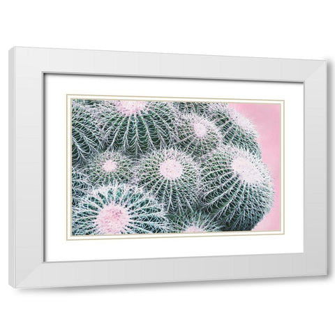Pink Crush III White Modern Wood Framed Art Print with Double Matting by Urquhart, Elizabeth