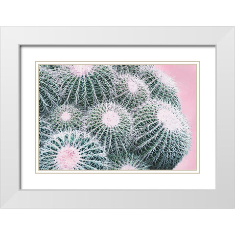 Pink Crush III White Modern Wood Framed Art Print with Double Matting by Urquhart, Elizabeth