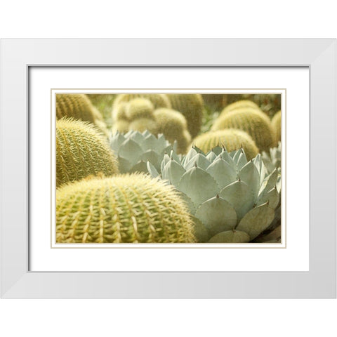 Pincushions 1 White Modern Wood Framed Art Print with Double Matting by Urquhart, Elizabeth