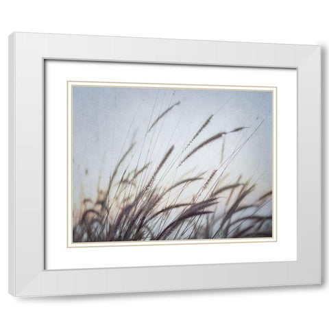 Misty Morning VI White Modern Wood Framed Art Print with Double Matting by Urquhart, Elizabeth