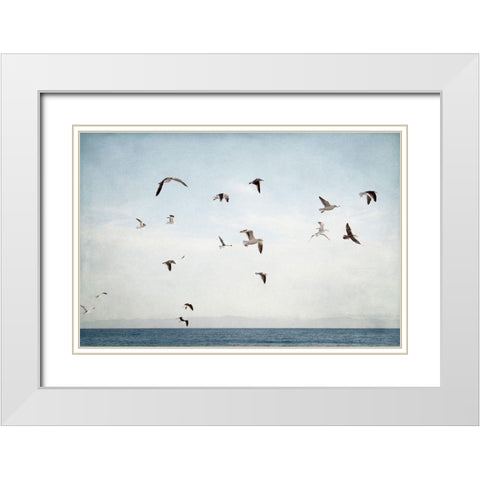 Soar I White Modern Wood Framed Art Print with Double Matting by Urquhart, Elizabeth