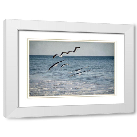 Soar III White Modern Wood Framed Art Print with Double Matting by Urquhart, Elizabeth