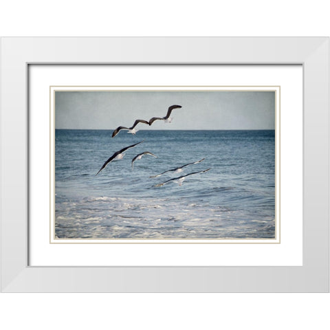 Soar III White Modern Wood Framed Art Print with Double Matting by Urquhart, Elizabeth