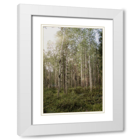 Aspen Forest 4 White Modern Wood Framed Art Print with Double Matting by Urquhart, Elizabeth