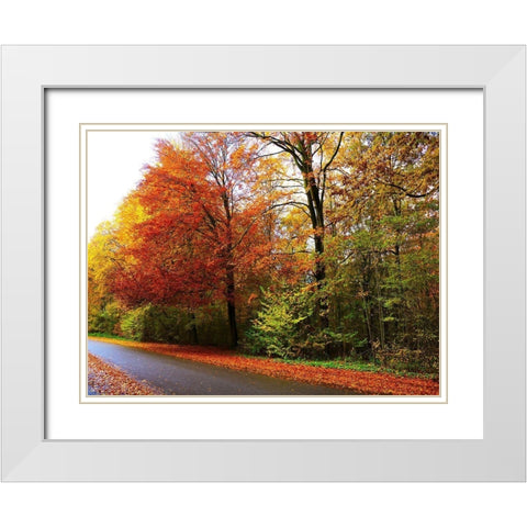 Amsterdam Woods White Modern Wood Framed Art Print with Double Matting by Frances, Stephanie