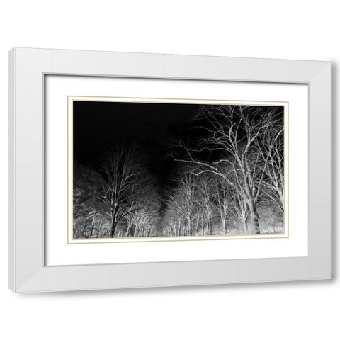 Branches White Modern Wood Framed Art Print with Double Matting by Frances, Stephanie