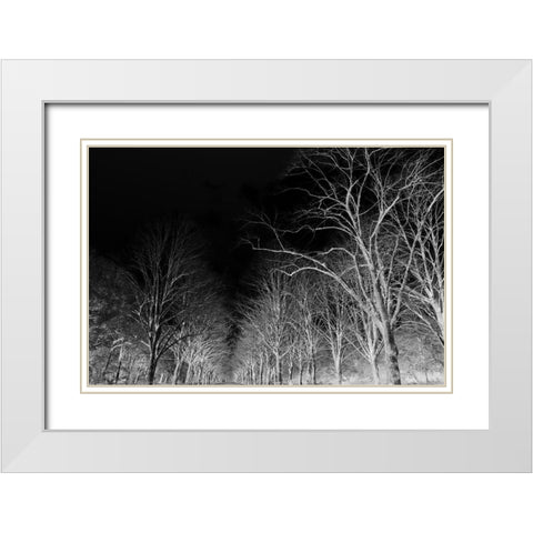Branches White Modern Wood Framed Art Print with Double Matting by Frances, Stephanie