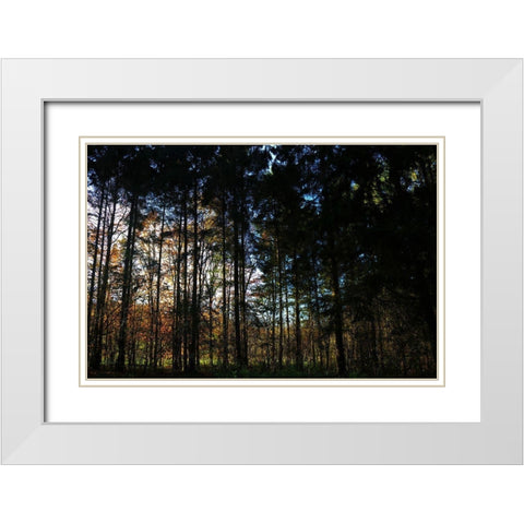 Over There 2 White Modern Wood Framed Art Print with Double Matting by Frances, Stephanie