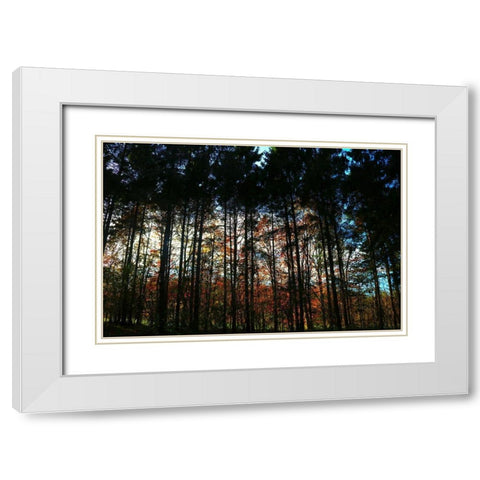 Over There 2 White Modern Wood Framed Art Print with Double Matting by Frances, Stephanie