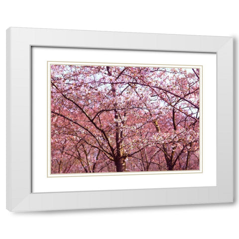 Blossom Pink Trees 2 White Modern Wood Framed Art Print with Double Matting by Frances, Stephanie