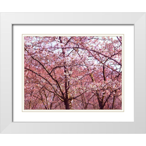Blossom Pink Trees 2 White Modern Wood Framed Art Print with Double Matting by Frances, Stephanie