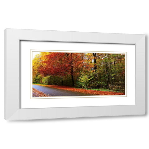 Woods Wanderer 2 White Modern Wood Framed Art Print with Double Matting by Frances, Stephanie